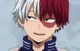 Todoroki 