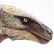 Utahraptor