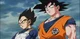 Goku and Vegeta 