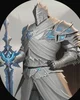 Knight of Ice order