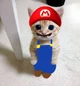 Mario Cat