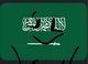 Saudi Arabia