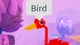 Roblox BIRD