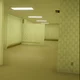 The Complex
