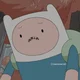 Finn The Human