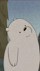 Ice bear