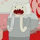 Finn The Human
