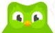 Duolingo bird
