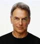 Leroy Jethro Gibbs 