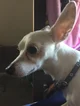 Poe 
