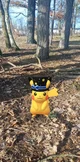 Pikachu with hat 