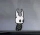 young_Hollow Knight