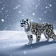Snow Leopard 