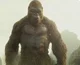 King kong