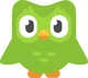 Duolingo Owl