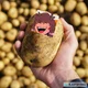 Potatubbo