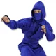 Blue Ninja