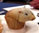 Hamster Muffin