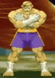 Sagat 