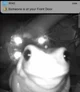 Frog at your door