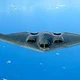 B-2 Spirit