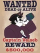 Pirate Bob Velseb