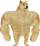 Strong doge