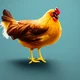 A chicken 