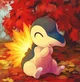 cyndaquil