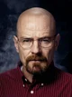 Walter white