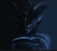 XenomorPhs 