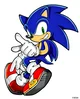 Sonic the hedgehog