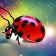 Ladybug galaxy
