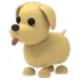 Bad evil dog