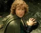 Pippin Took