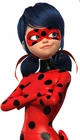 Ladybug