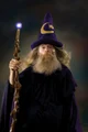 Wizard