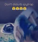 Dont Disturb Spytrap