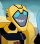 Bumblebee TFA