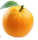Orange the Fruit