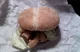 Burger King Whopper