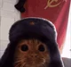 Soviet Cat