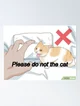 Please dont the cat
