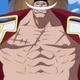Whitebeard