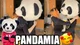 Pandamia