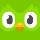 Duolingo Bird
