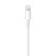 Lighting Cable
