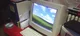 windows xp