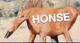 Honse