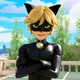 Cat noir